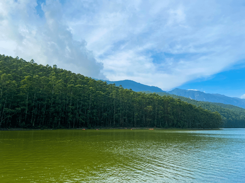 Scenic lake surrounded by dense forested hills.