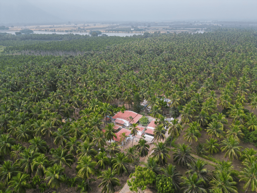 Top shot view of Ibex Resorts, Coimbatore (Kakarla) surrounded by cocount trees.
