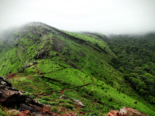 Steep hillsides blanketed in vibrant green vegetation.