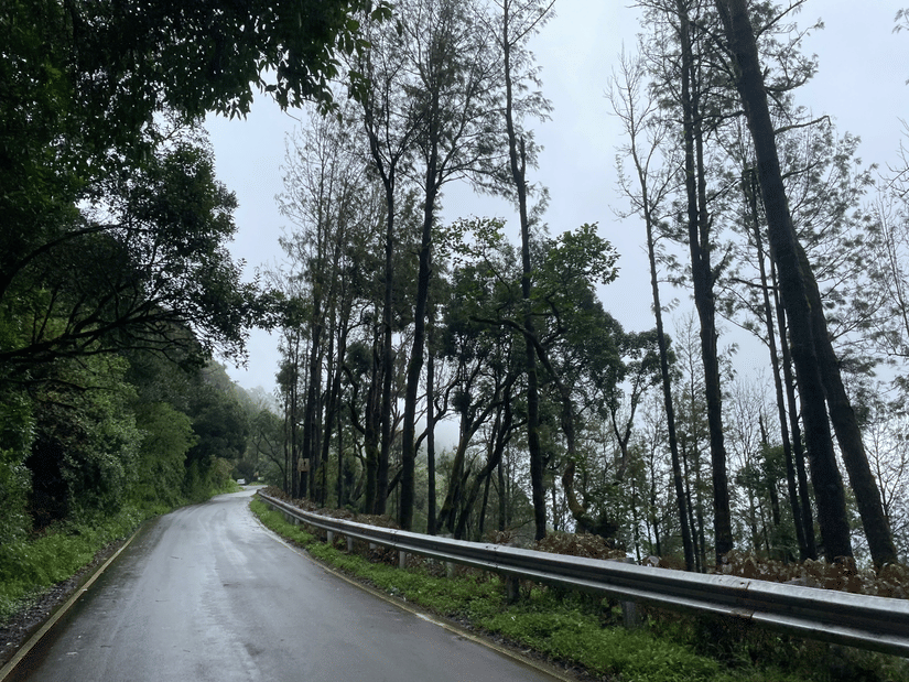 An empty road with trees on the right and a hill on the left side