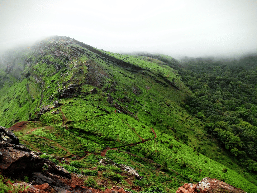 Steep hillsides blanketed in vibrant green vegetation.