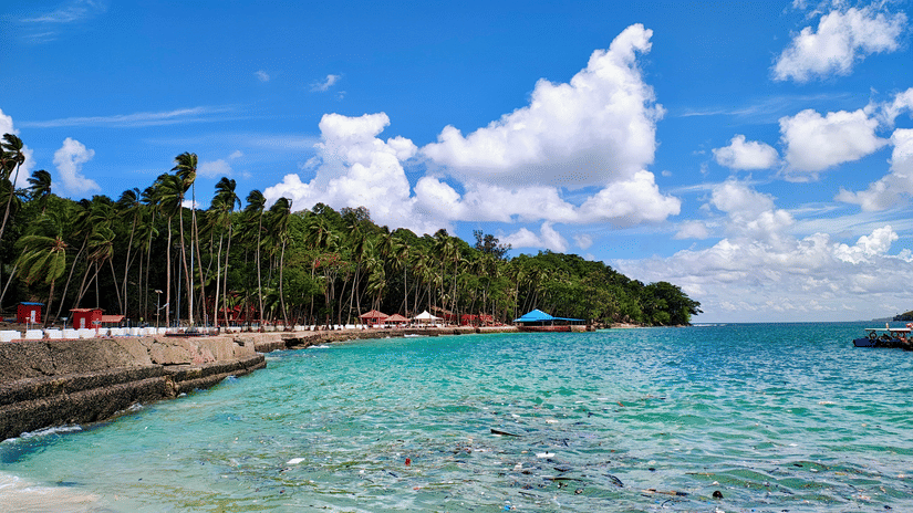 A coastal shoreline with clear water, palm trees, a sandy beach, and clouds scattered across a bright sky.