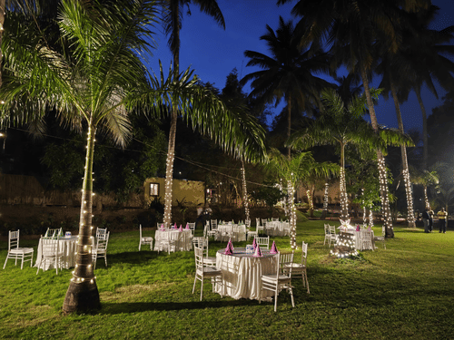 An outdoor event space at night, with white-clothed tables and chairs set on a grassy lawn, surrounded by tall palm trees wrapped in string lights under a deep blue sky.
