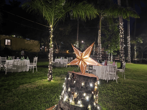 A festive outdoor setting at night, featuring a large, illuminated star decoration on a tree stump, surrounded by white-clothed tables and chairs and palm trees wrapped in string lights on a grassy lawn.