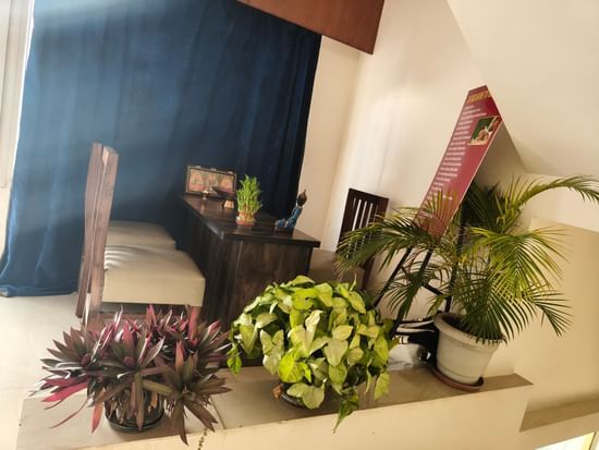 A cosy indoor seating area in the spa with dark blue and brown decor and a variety of green potted plants.