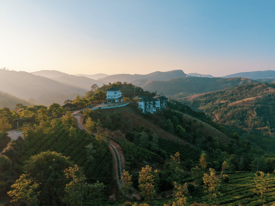 DJI 20260123125434 0423 D