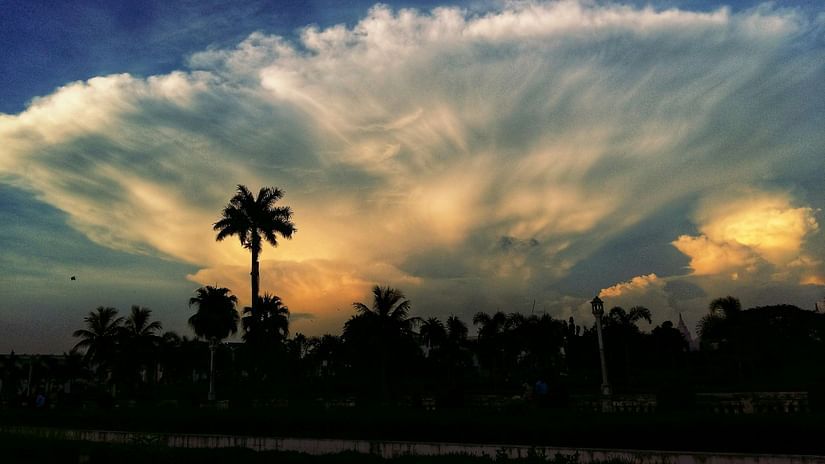 A magnificent image of a sunset agartala with silhouettes of trees and different hues in the sky in view