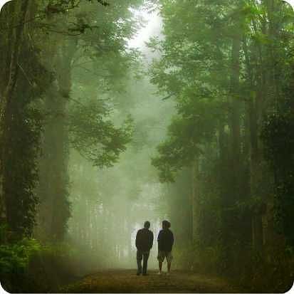 Image of two people walking between a forest covered with mist.