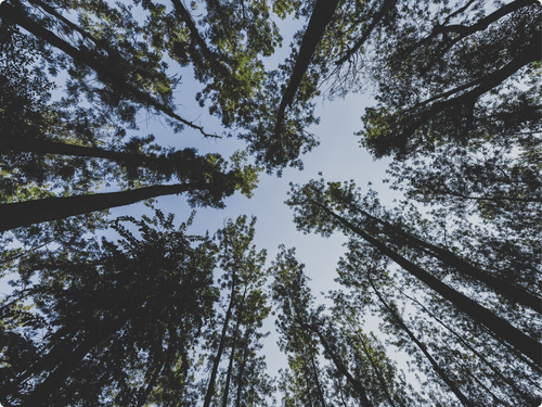 Experiences At The Serai, Luxury Resorts In India, Offbeat Destinations In India 41