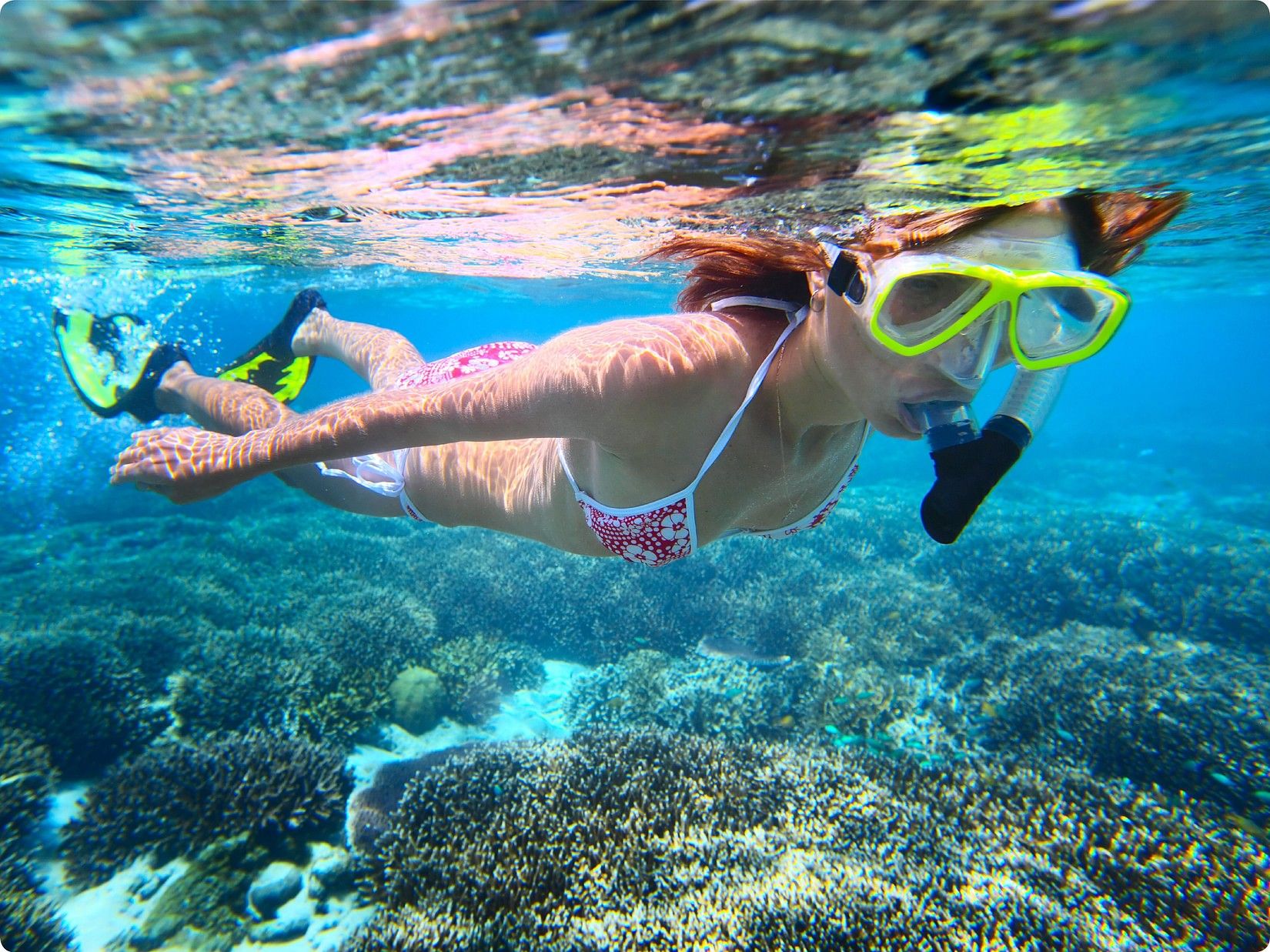 Indulge in Snorkeling near our resort in Havelock 