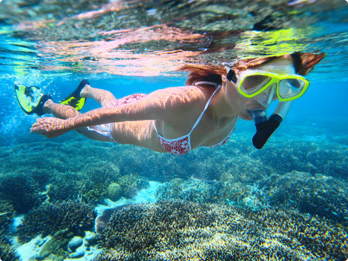 Indulge in Snorkeling near our resort in Havelock 