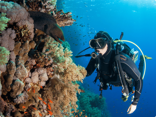 Wildlife Adventure-09