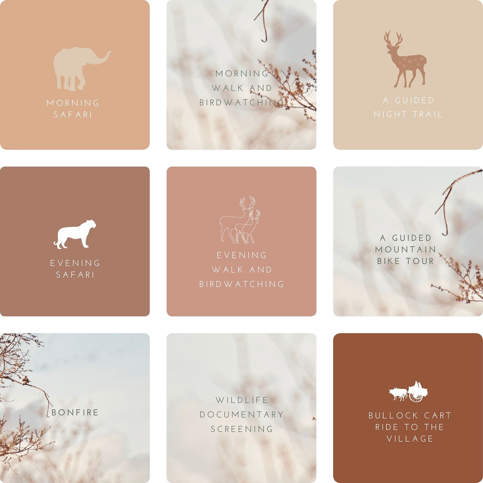 motif collage