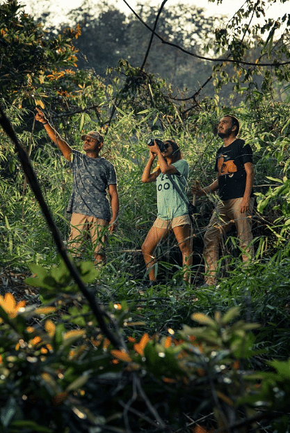 three people on a hike in a forest