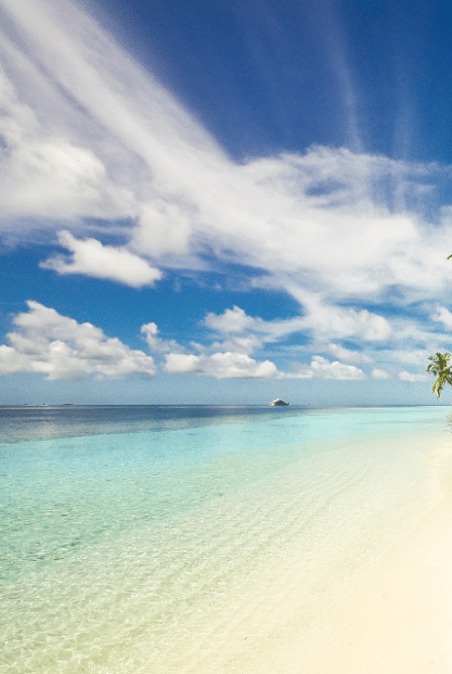 view of a beach