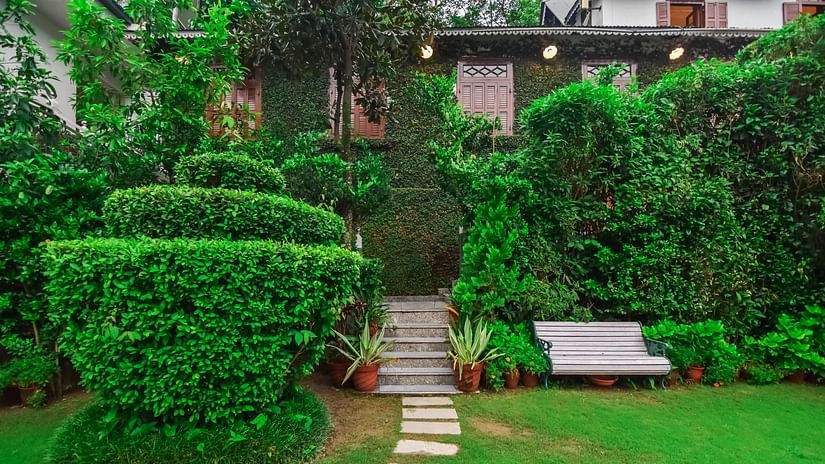 A well-manicured garden with a path and a lounge chair.