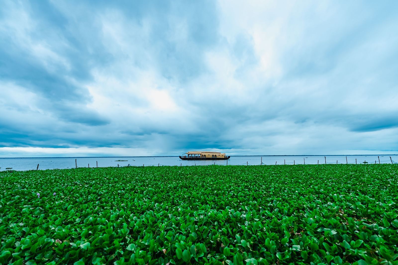 Rhythm Kumarakom - House boat on a river with greenery in front