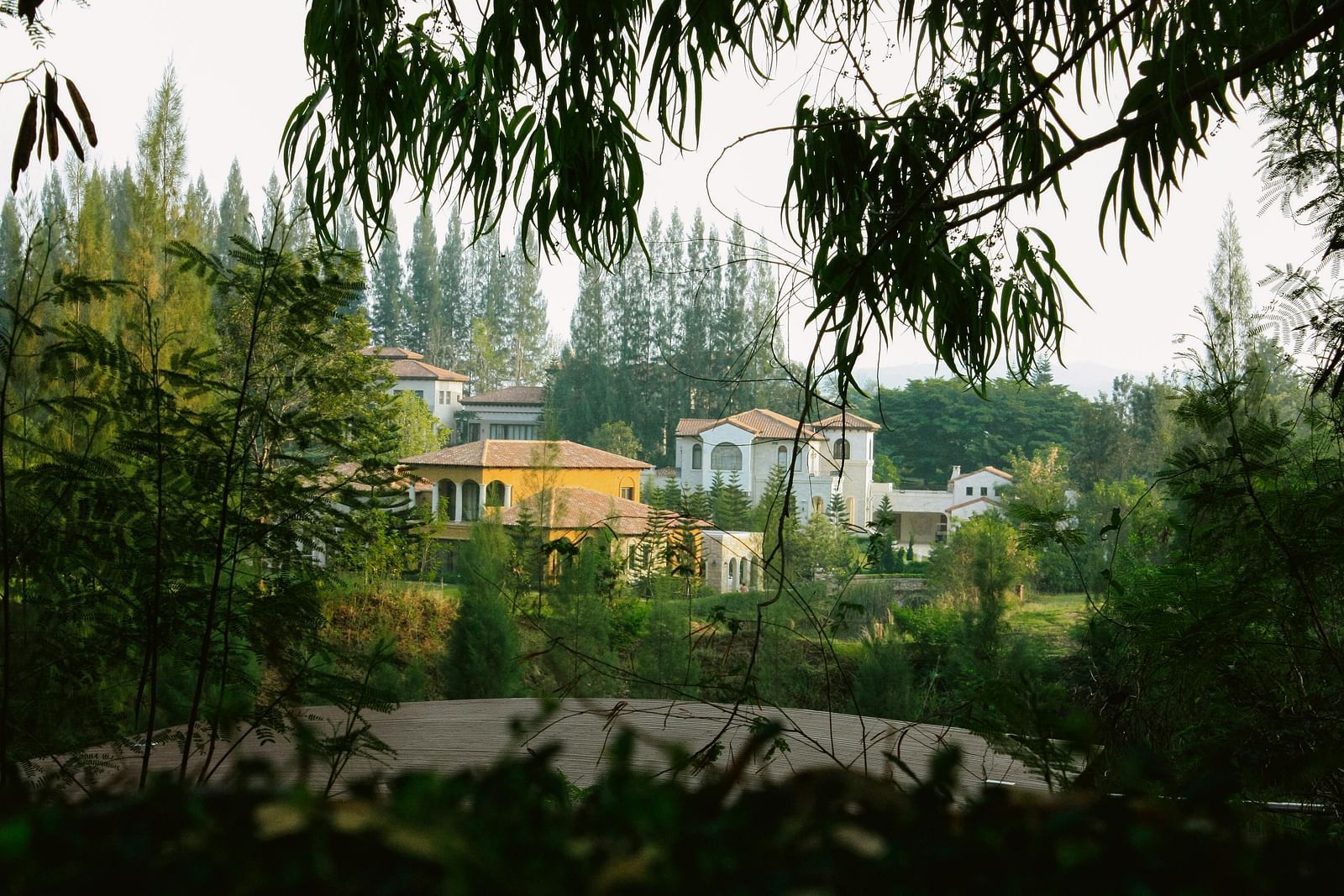 image of a cluster of bungalows nestled amidst lush greenery