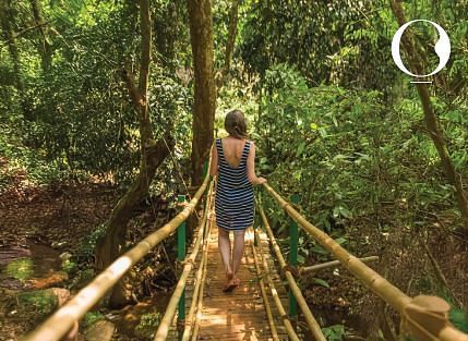 Back shot of a woman walking down a bamboo bridge in a lush green forest - Miros