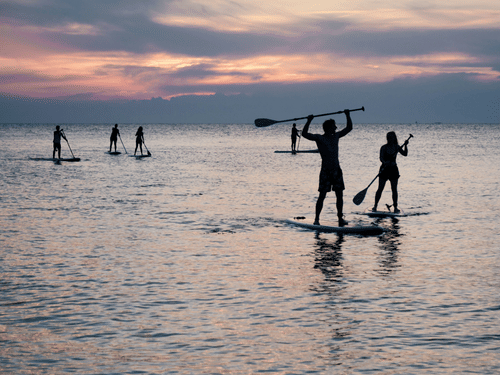 A group of people enjoying stand-up paddleboarding during a scenic sunset.