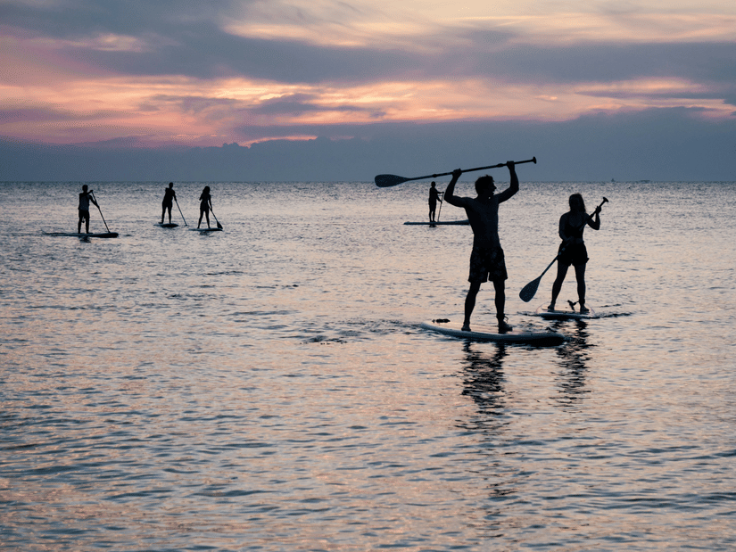 A group of people enjoying stand-up paddleboarding during a scenic sunset.