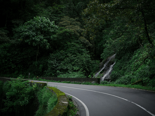 A view of the highway leading to Valparai with a mountain on the side having a small waterfall and trees.