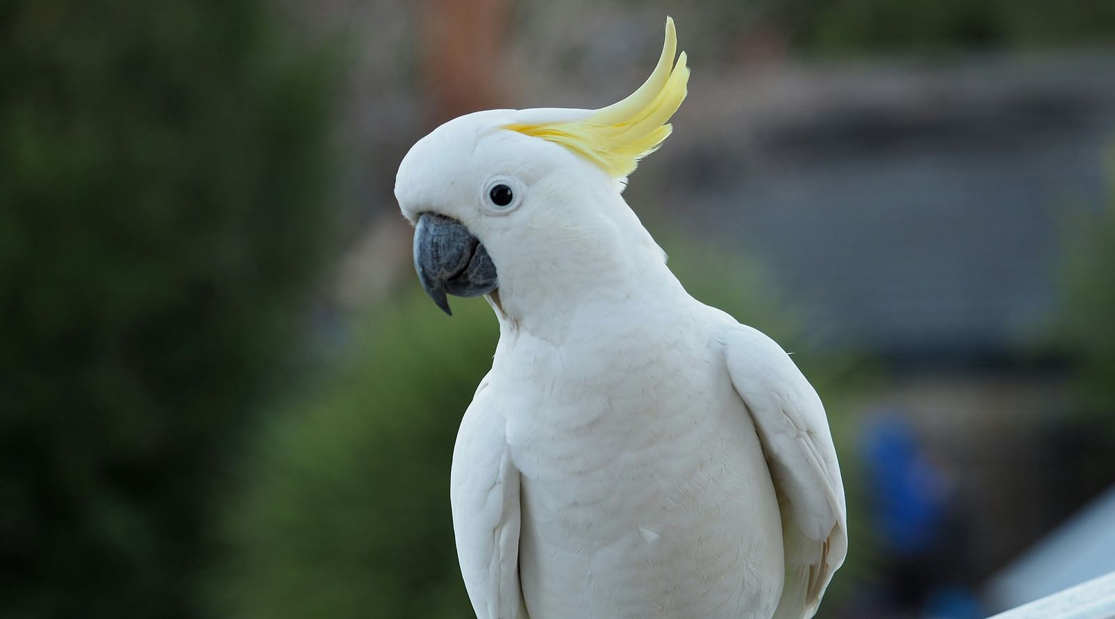 dieter-pelz-qvI3wvjSoHE-unsplash