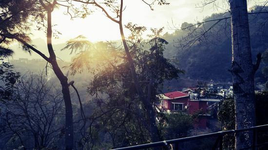 A scenic mountain valley viewed through tall trees, with sunlight filtering through the branches and houses nestled among the hills.