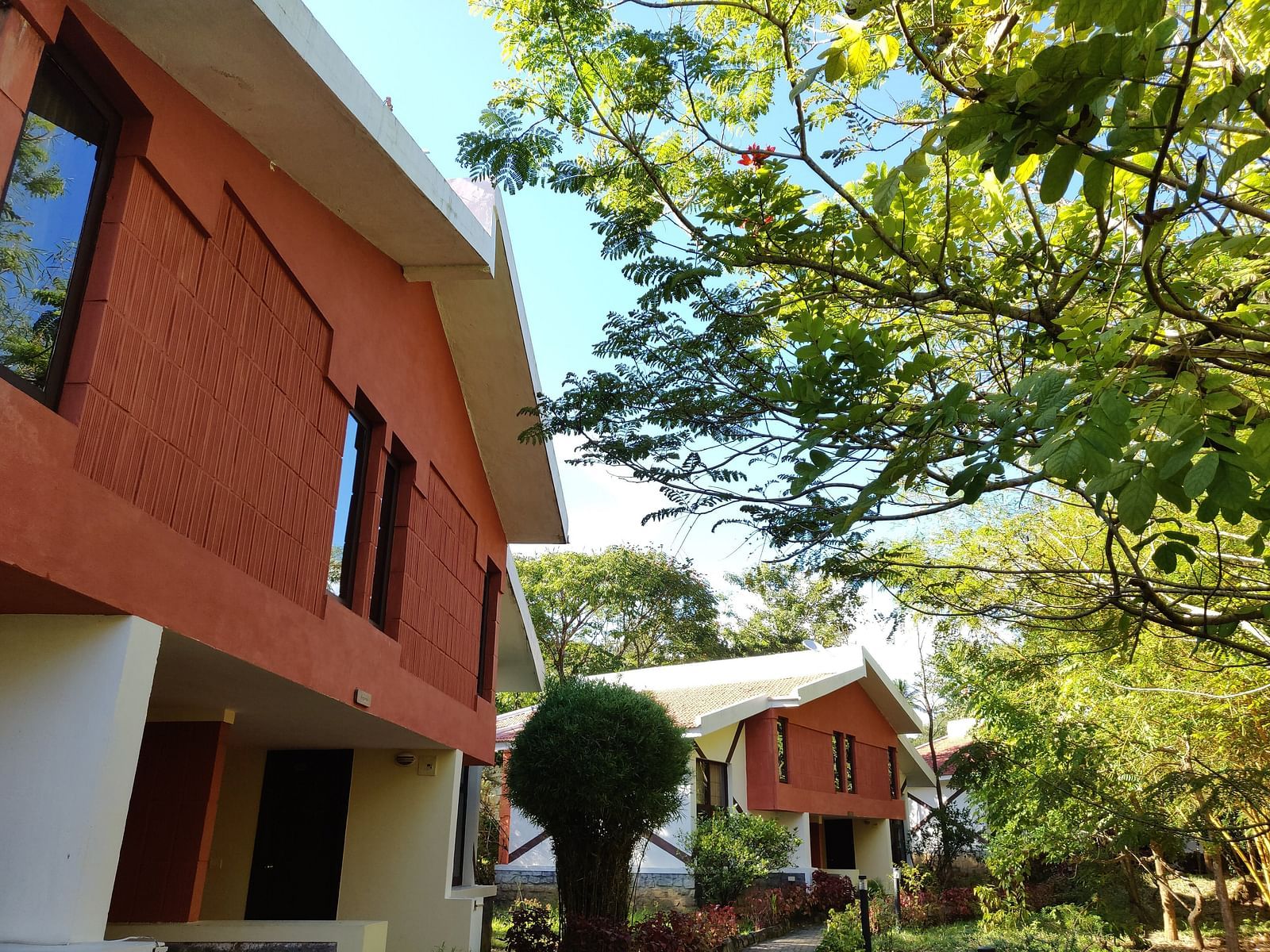 Two-story cottages with orange-red facades and white roofs peek through green foliage under a clear blue sky.