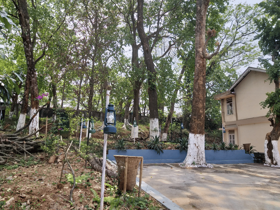 Another angle of the hotel's outdoor area with trees, blue curbs, and a partial view of the hotel building.