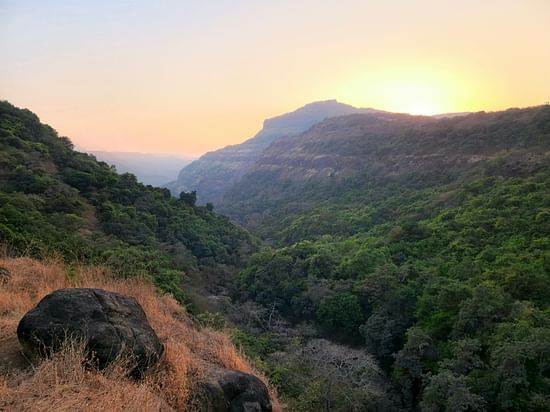 zoshua-colah-KNEgKxazzJM-unsplash