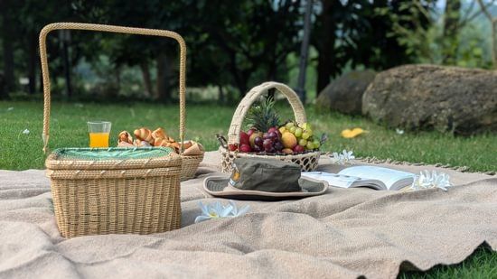 picnic