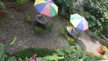 6. Scenic garden area