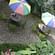 6. Scenic garden area