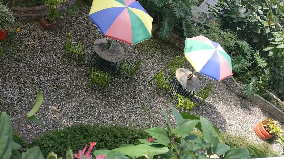 6. Scenic garden area