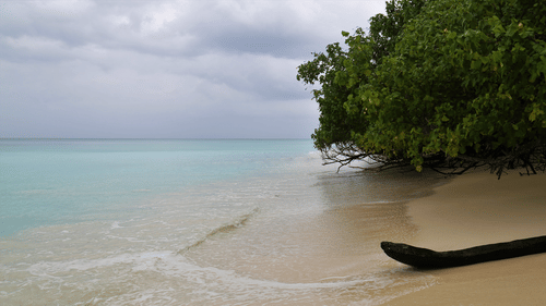 a raft on a beach