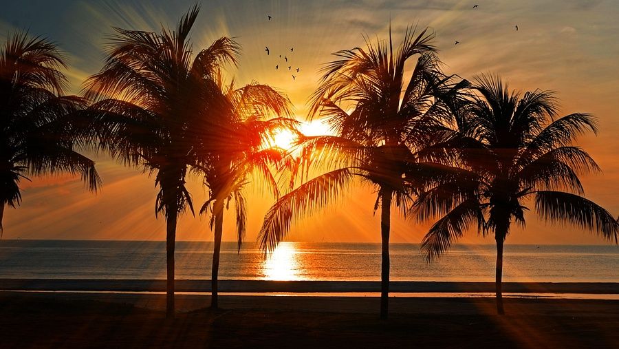 Beach in Andaman and Nicobar Islands2
