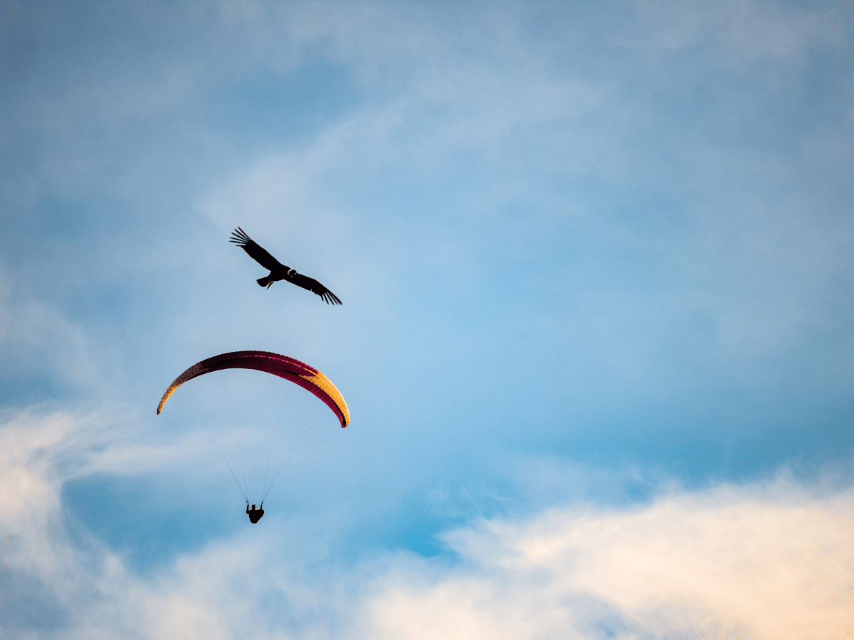 A paraglider in flight above the valley