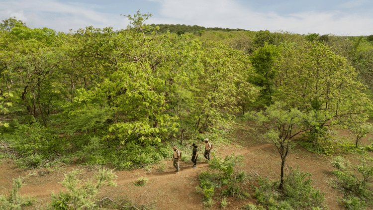 Journal - All, Aramness 