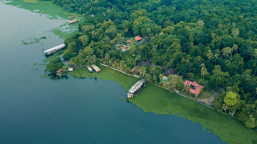 An aerial shot showcasing the Vembanad Lake and the resort surrounded by lush greenery - BluSalzz Villas - Muhamma Resort, Alleppey
