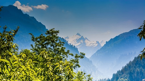 Places To Visit in Manali Marigold Sarovar Portico Mashobra Resort In Shimla sviyn4