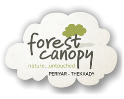 Forest Canopy Logo