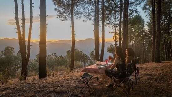 A peaceful forest picnic setup perfect for unwinding during a stay.