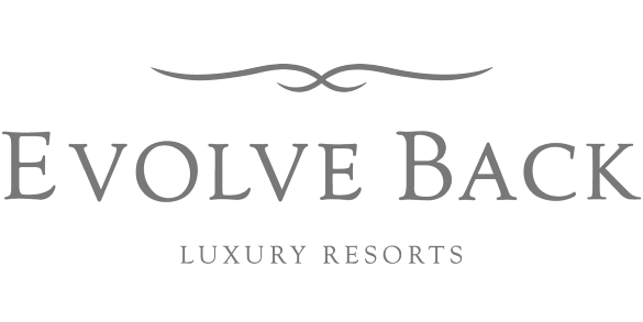 logo-evolveback-large-cropped