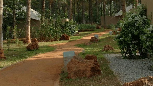 A winding path through a garden with trees and flags, outdoor setting - Shreyas Retreat