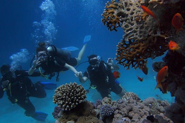 Divers explore a vibrant underwater scene, surrounded by coral formations and marine life.