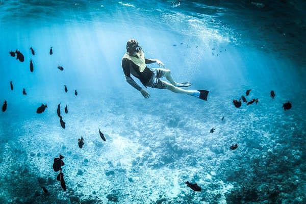 A person floats in clear water surrounded by small fish, suggesting underwater exploration.