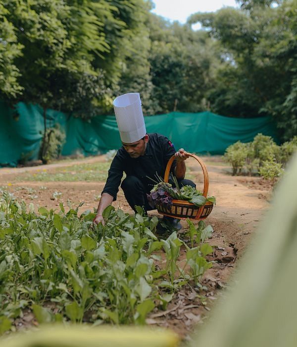Person wearing a hat tending to a garden bed with green plants at Karma Chalets.