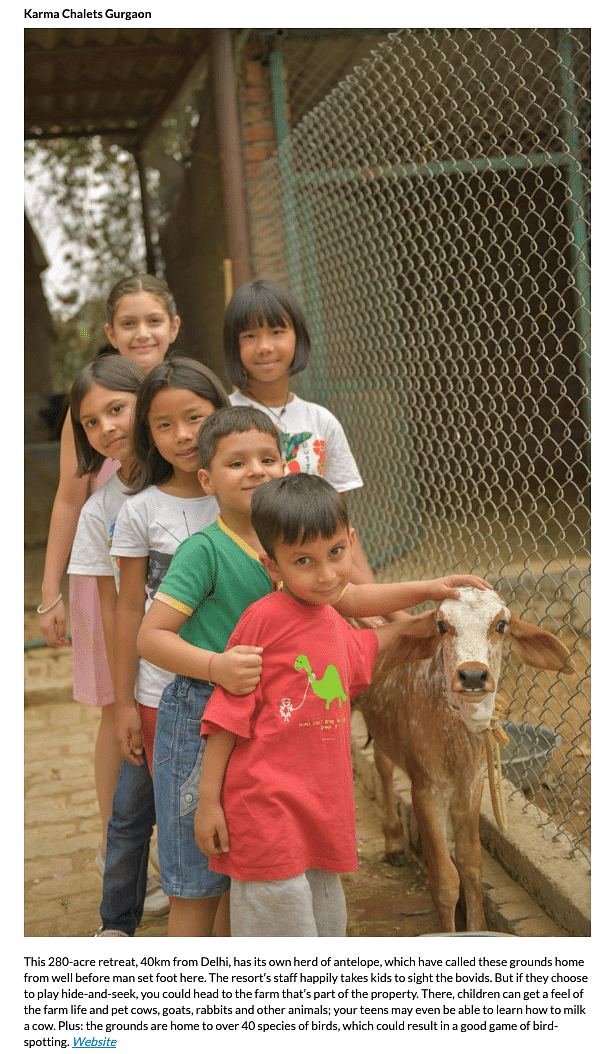 A group of children stand beside a calf next to a chain-link fence at the farm area of Karma Chalets, with one child petting the animal.
