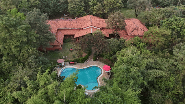 Aerial view of multiple cottage-style buildings surrounded by dense trees with a visible swimming pool at Infinity Resorts Bandhavgarh.